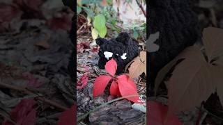 crocheting a cat!  tutorial cred: Crafter Frog on YT #crochet #amigurumi #cat #blackcat #craft