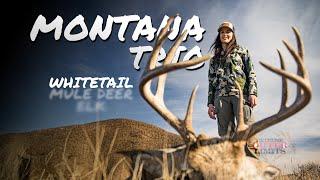 Montana Trio - Big Whitetail Deer 4K.