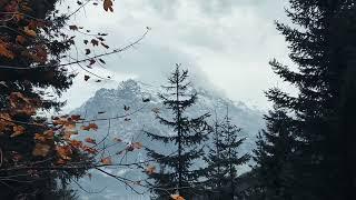 Lauterbrunnen Kandersteg Thuỵ Sĩ