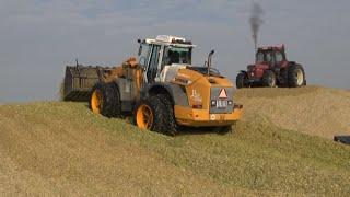 Maïs 2012 | Liebherr 544 met voor en achter dubbellucht en Case IH 956 xl op de maïskuil | Brouwers