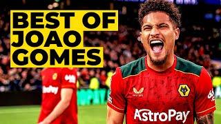 Our Samba star! | Watch the best Joao Gomes moments at Wolves!