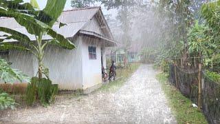 Heavy rain The sound of thunder hit the village of Bodol Red soil ||refreshing atmosphere