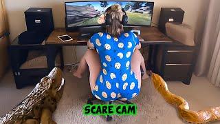 BEST SCARE CAM Priceless Reactions 2024#128 | Funny Videos TikTok | CoCo Scare Cam |