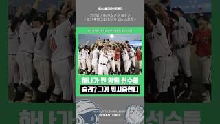 고교야구의 낭만, 바로 이런 것 아닐까요 #청룡기