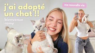 J’AI ADOPTÉ UN CHAT !!