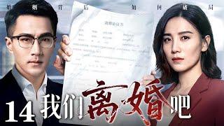 #情感大剧【2025最新电视剧】我们离婚吧 14｜刘恺威、宋佳演绎都市男女闪婚闪离的婚姻现状