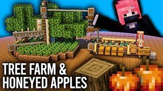 Early Game Tree Farm & Honeyed Apples with Minecraft Create!