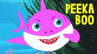 Baby Shark Peekaboo Song by FunForKidsTV - Nursery Rhymes & Songs