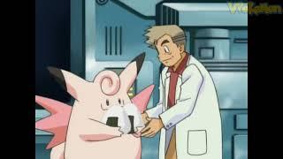 Clefable attacks Professor Oak | Professor Oak Funny Moments