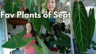 September Plant Favourites | Plant with Roos