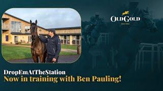 Old Gold Racing launches new horse with leading National Hunt trainer, Ben Pauling! #Horse #Horses