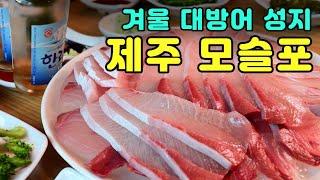 Korea best seasonal food in winter, Jeju Moseulpo, yellowtail Mukbang