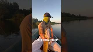 С кем было?  #рыбак #fishing #риба #рибу ##рыба #рыбалка #окунь #мем #рибалка #природа