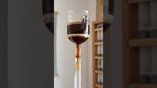 Crazy Siphon Coffee Brewer