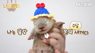 나는 태어난 지 17일 된 수달 새끼다 [애니멀봐 나새끼 84호]ㅣI'm 17 days old Otter Baby [I'm A Baby 84th]