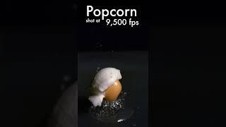 It’s corn but at 9,500 FPS