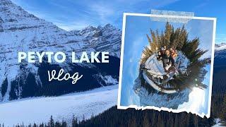 PEYTO LAKE | Famous and Easily-Accessible Lake | Alberta