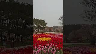 김용빈,#기쁨두배로