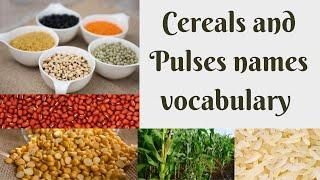 Cereals And Pulses Names In English || Pulses And Cereals Names Vocabulary