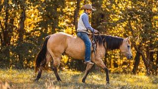 “Tip” Whodini Bar 2019 AQHA Gelding