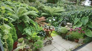 Tiny Tropical Garden, North London, UK