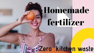 Homemade Fertilizer | #ZERO# Kitchen Waste | Tried from Ujjwal Mitra | Fertilizer at Home Episode 5