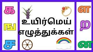 உயிர்மெய் எழுத்துக்கள்  க -ன/Uyirmeiyezhuthukal/க ங ச ஞ ட ண