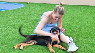 Shelter Puppy Realises She is Being Adopted... Love Furry Friends Shelter