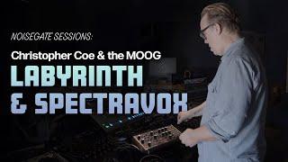 Noisegate Sessions // How to Create Techno Using the Moog Labyrinth and Spectravox with Chris Coe