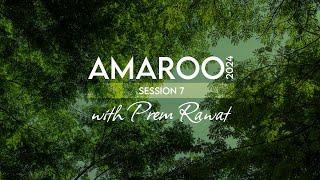 Amaroo 2024 Session 7 (A glimpse)