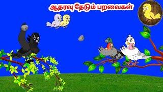 கார்ட்டூன் 31/12/24 | Feel good stories in Tamil | Tamil moral stories | Beauty Birds stories Tamil