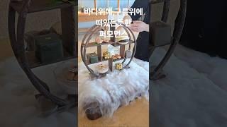 #서울근교#영종도카페#구읍뱃터#영종도바다뷰카페#영종도찻집#차덕분#인천카페#인천가볼만한곳#영종도가볼만한곳#서울근교가볼만한곳#서울근교카페추천#영종도#인천#인천데이트#주말에가볼만한곳