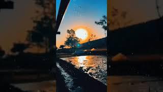 Aesthetic  Nature Status  | Love Nature Whatsapp Status Song Status  #shorts