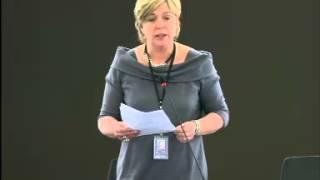 Hilde Vautmans 10 Feb 2015 plenary speech on The work of the ACP EU Joint Parliamentary Assem