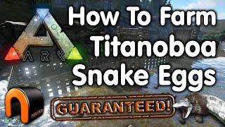 Ark How To Farm Titanoboa Snake Eggs (A Guaranteed Snake Farm!)