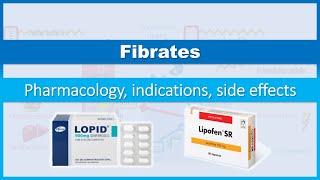 Fibrates - How do they work? (Pharmacology, Indications, Side effects)