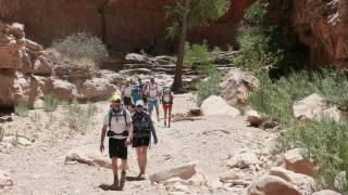 Outdoor Adventures Made Easy at Arizona Outback Adventures