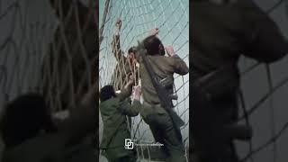 مستند «کمیته»| فعالیت‌های کمیته در سال‌های ابتدایی انقلاب 57| Documentary "Committee" |