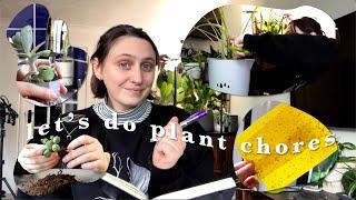 chill plant chores 🪴 watering, potting, propagating & more