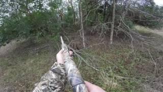 Deer Drives 12/31/2016 Doe Kill on Last Hunt