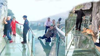 Scariest Cliff-side Glass WalkwayPeople dare to walk, Amazing chinese landscape