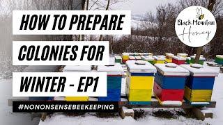 How to Prepare Colonies for Winter - How to Overwinter Bees - Prepare Bees for Winter - Episode 1