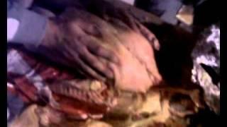 Tuka-Patka-Pile.avi