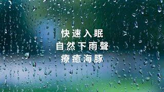 大自然下雨聲 | 放鬆 快速入眠 | 療癒海豚 | Nature Rain Sound for Deep Sleep and Relaxation | Healing Dolphin