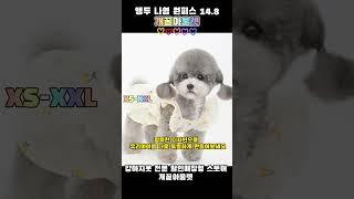 앵두나염 원피스 14.8 #강아지 #강아지여름옷 #강아지옷 #강아지원피스