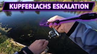 KUPFERLACHS ESKALATION | BIG TROUT Geburtstagsangeln in Untermaubach