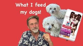 What Do I Feed My Dogs?  Science Diet, Wellness, Orijen