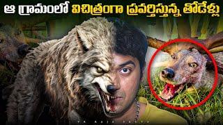 Movie Ticket Prices Hike & Wolf Strange Behavior | Top 10  Interesting Facts | Telugu Facts| VR Raja