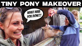 DINKY PONY gets a Makeover in a Susie Takeover!!