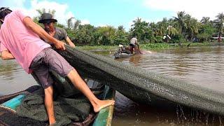 Làm Giàu Từ Nghề Truyền Thống: Đóng Đáy Trên Sông Cái/ Setting Fish Traps on the Main River